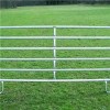 Steel Horse Fence Product Product Product