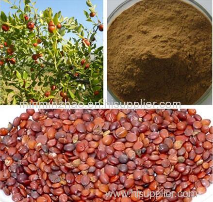 Jujube Seed Extract with Jujuboside 2%-5%