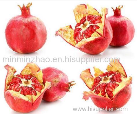 Pomegranate Extract with Polyphenols