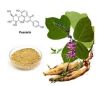 Kudzu Extract with Puerarin