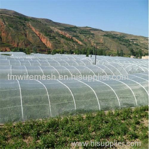 Polyethylene Agriculturall Insect Nets