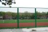 chian link fence/ PVC Coated/galvanized Chain Link Fence