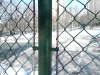 PVC chian link fence(factory)