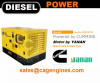 Diesel Engine Standby Generator