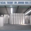 Facial Tissue (in Jumbo Rolls)