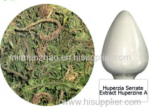 Huperzia serrate extract powder huperzine 1%.4%