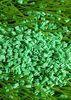 50 MM Landscaping Artificial Grass Infill EPDM Rubber Granules Octahedral Prism