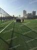 Recycled Rubber Artificial Turf Infill No Odor With Heat Resisting Customize