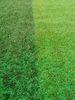 High Density Green Synthetic Turf Infill High Grade Indoor Soccer Sports Field