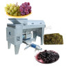 Azeus Grape Crusher Destemmer