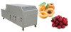 Automatic Fruit Pitting Machine