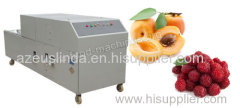 Automatic Fruit Pitting Machine