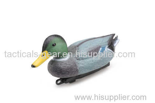 simulation of new male duck model