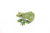 simulation of lotus leaf frog model
