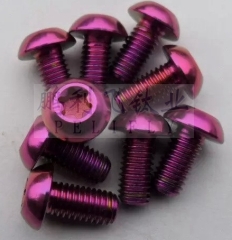 titanium GR5 screws made in China best quality with colorful or rainbow golden red blue purple black