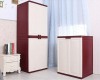 Multifunction combination plastic wardrobe