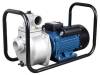 3HP-5HP DS Aluminum Centrifugal pump