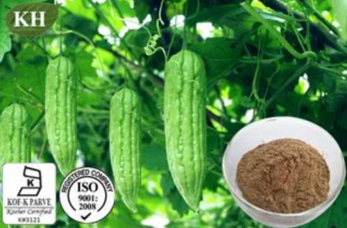 Bitter Melon Extract Lowering blood sugar fast