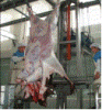 Cattle Skin Remove Machine/Hide Puller