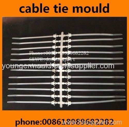 nylon cable tie injection moulds molds manufactory