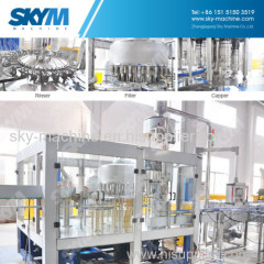 Hot Sale 330ml 600ml Drinking Water Bottling Plant With PLC