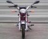 50CC CDI Kick Start Gas Powered Motorcycle Front Disc / Rear Drum Brake Air Cooled