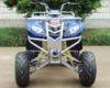 Front Double A - Arm Utility Vehicles ATV 250cc With 8