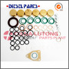 Repair Kits for Ve Pumps-Diesel Injection Pump Rebuild Kit