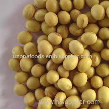 Grade AA Quality SoyBeans
