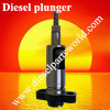 Plunger and barrel assembly