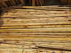 Moso bamboo poles for fencing decoration