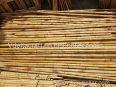 Moso bamboo poles for fencing decoration