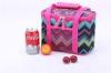 600D Purse Meal Fridge Pak Insulated Cooler Bag Freezer Bags Collapsible