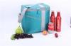 Adult Portable Big Polyester Cooler Bag Box Plain Blue Professional