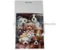 Flip Changing Effect 3d Lenticular Postcards PET / PP / PVC Printing