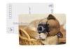 Full Color 0.6 MM PET Lenticular 3d Poster Card With Pearlised Film
