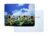 Beautiful Flower Design 3D lenticular postcard printing PET/ PP Landscape