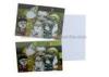 Loverly Cartoon Kids 3D Lenticular Postcard 11x16cm 3d Changing Pictures