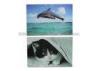 Animal Design 3D Lenticular Printing Service Custom Lenticular Postercard
