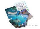 Animial Image 3d Lenticular Sheets Learning card For Children With Alphabet