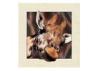 Animal Stock 5D 3D Lenticular Pictures PET Printing Service Deer image