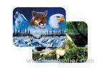 Waterproof Plastice 3D Lenticular Placemats Directly Printing PET