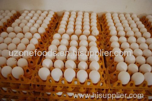 Table Chicken Eggs (White Eggs)