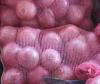 Round Fresh Red Onion at Best Offers