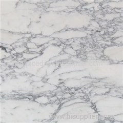 Italy Arabescato White Marble With Grey Lines Tiles Slabs