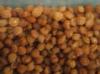 Ricinodendron Heudelottii (Njansang) For Sale in Bulk and Wholesale
