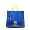 PP Woven Shopping Bag