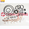 Diesel Fuel Engine Pump Parts Overhaul Kit For Auto Repair Kit For Pump Injector Pump Parts