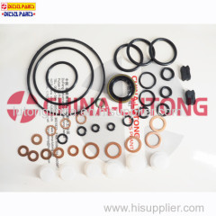 Diesel Fuel Engine Pump Parts Overhaul Kit For Auto Repair Kit For Pump Injector Pump Parts