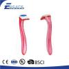 AK-8001 Straight Handle Plastic Razor For Eyebrows